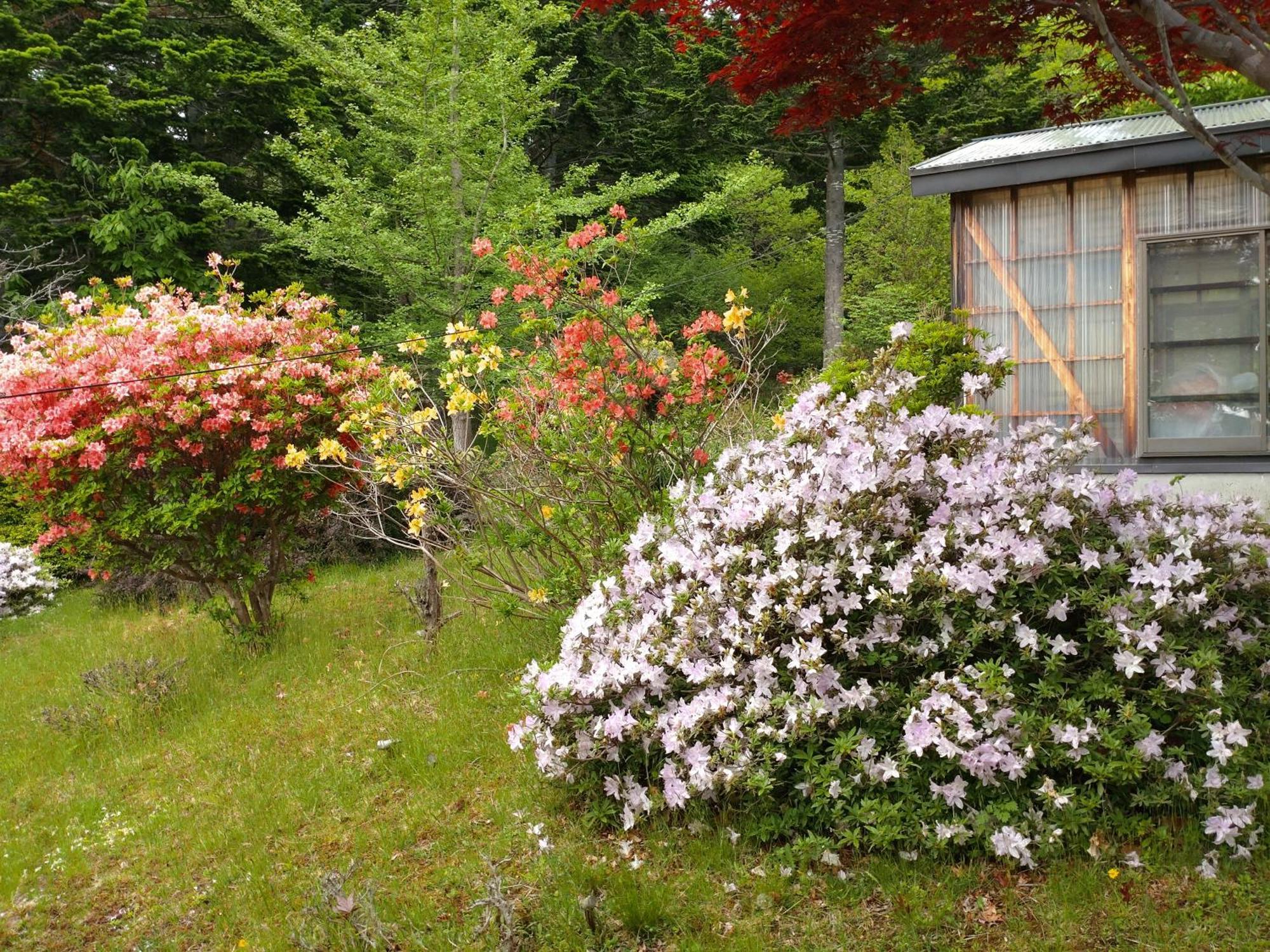 Noboribetsu No Mori Villa ภายนอก รูปภาพ
